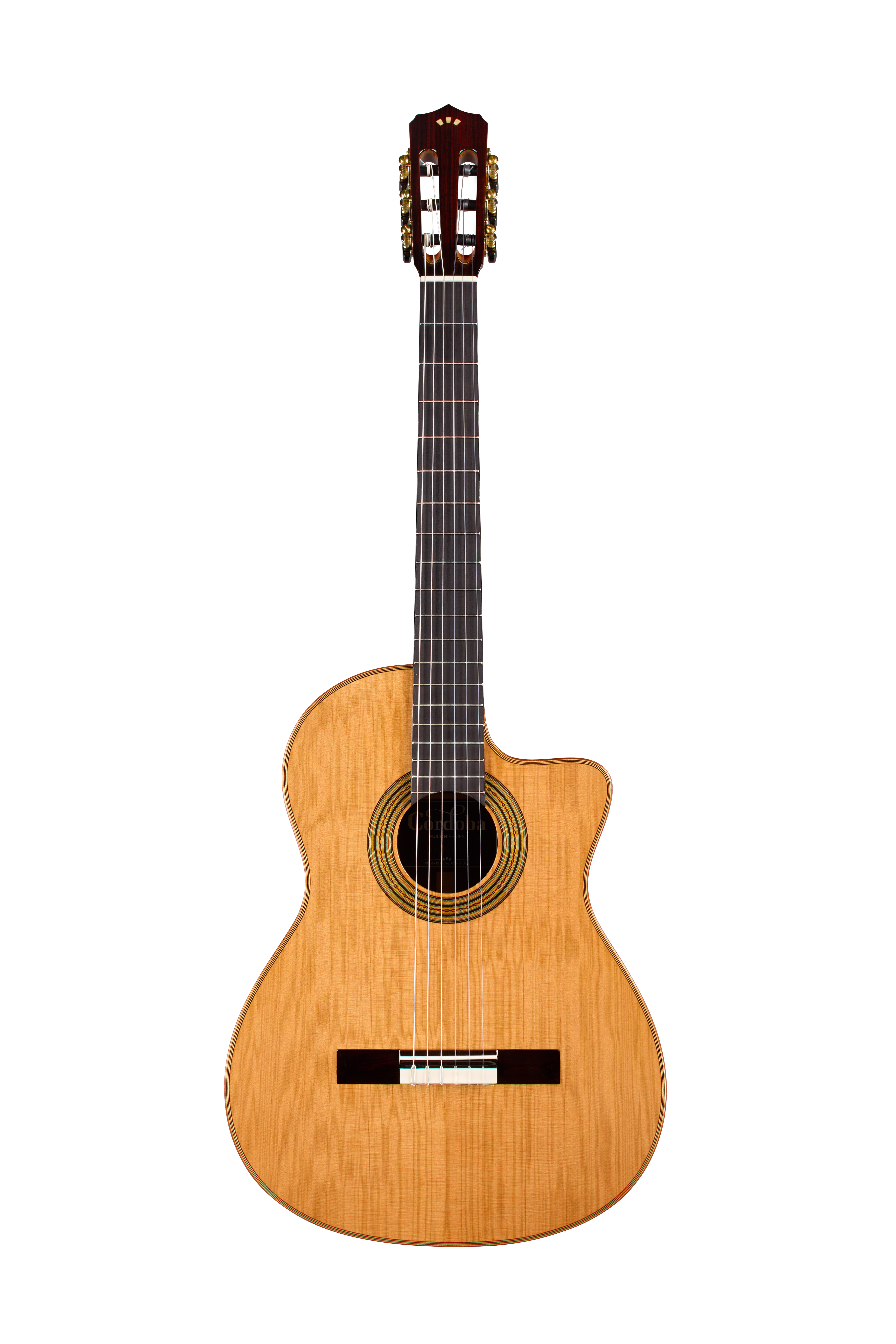 Fusion Orchestra CE Pro
